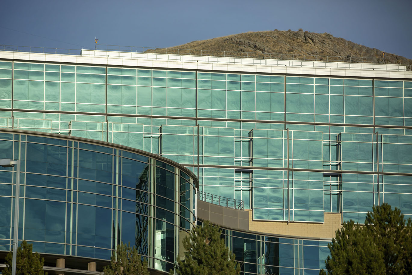 construction delay claims expert witness