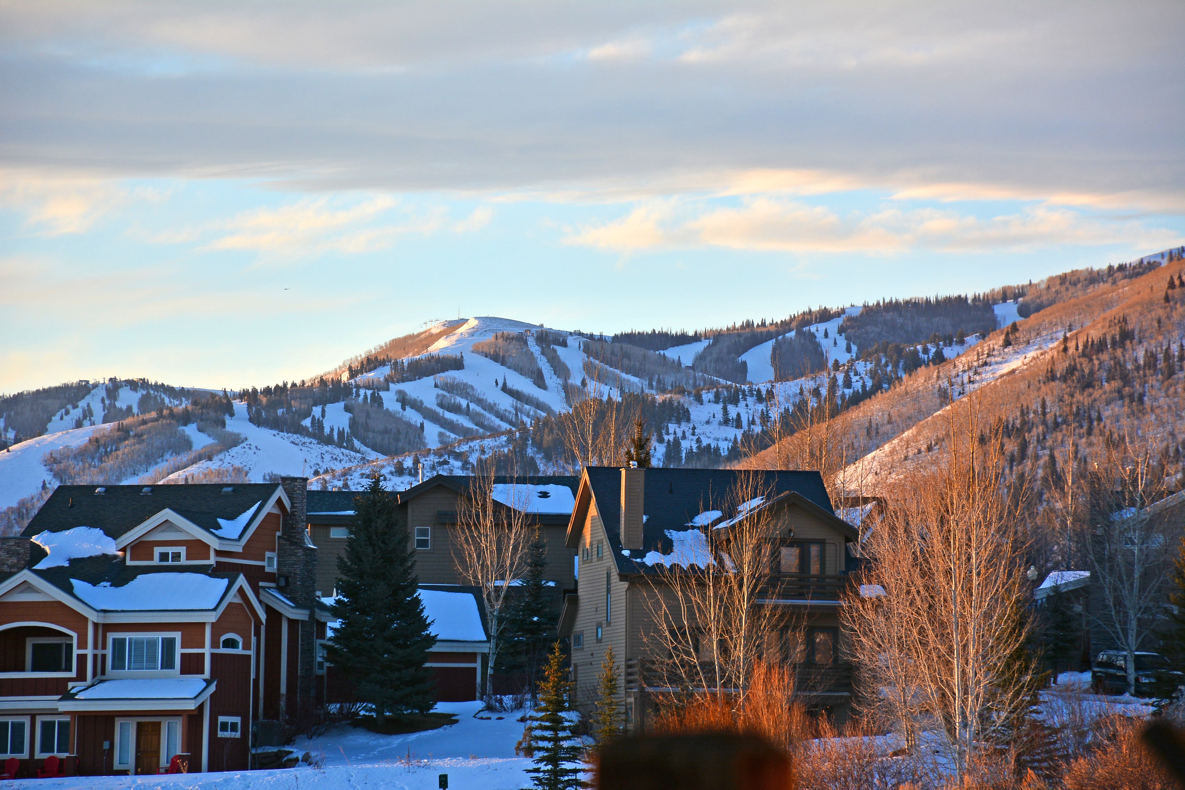 Hotel Construction Expert